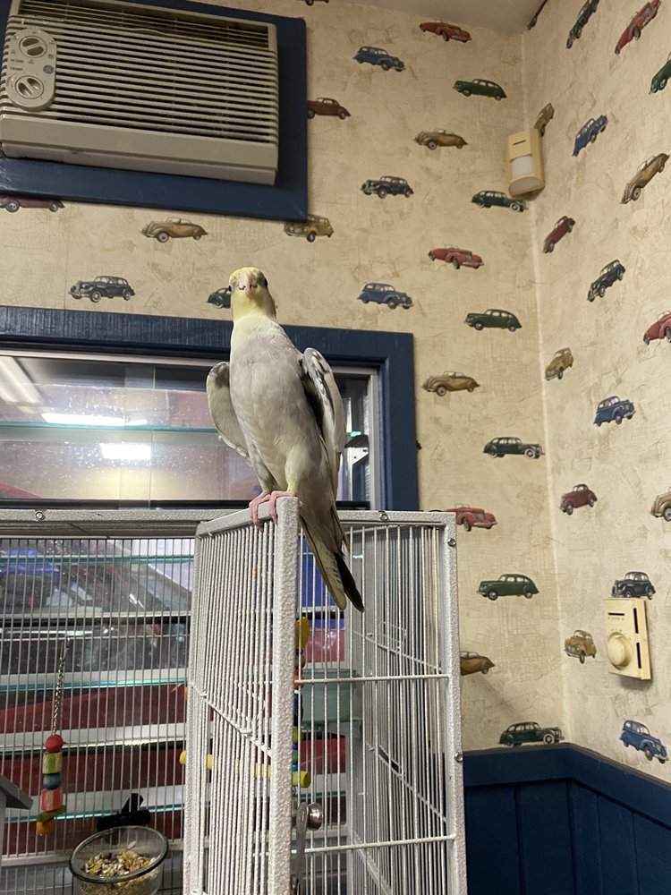 Wally & Sons waiting room mascot